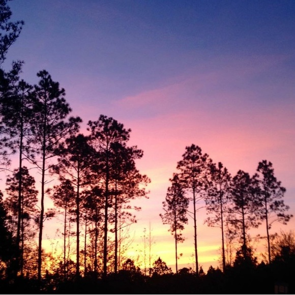 Meet your Posher, Jessica - Picture 2 of 4